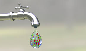 Bacterium in Well Water