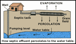 Drain Field Ground Water