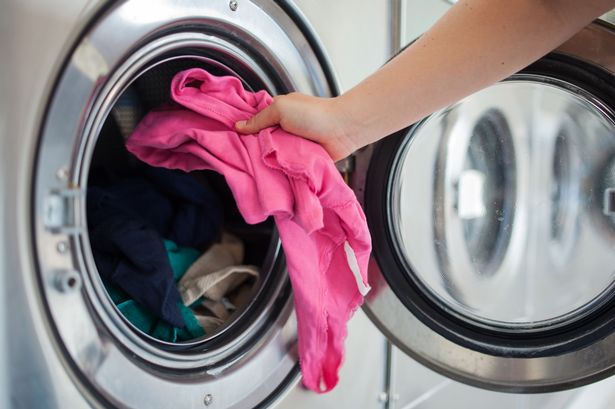 Are Bacteria & Viruses Lurking in Your Washing Machine?