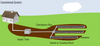 Conventional Septic System